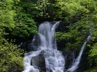 Oberer Torc Wasserfallabschnitt - Killarney NP, Co. Kerry
